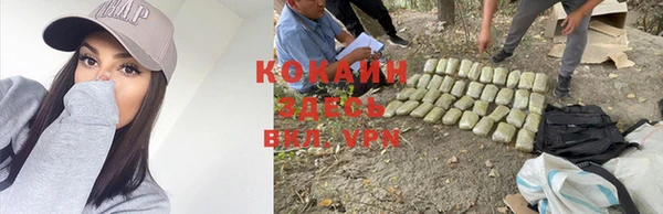 МДПВ Белокуриха