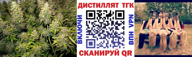 ТГК гашишное масло  Городец 